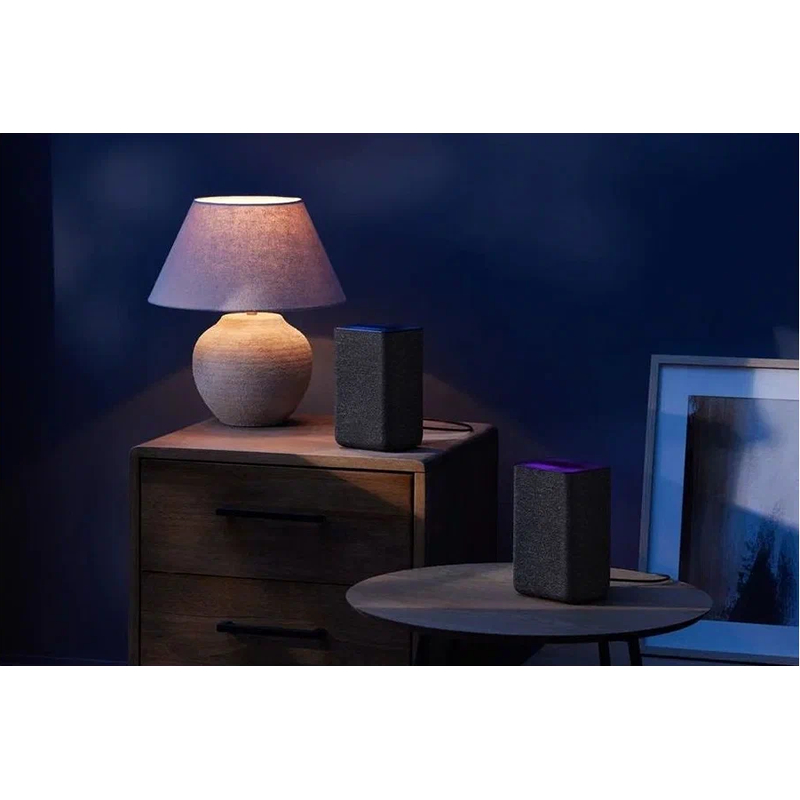 Умная колонка ЯНДЕКС Станция 2 30Вт, с Алисой, черный антрацит [yndx-00051k] 